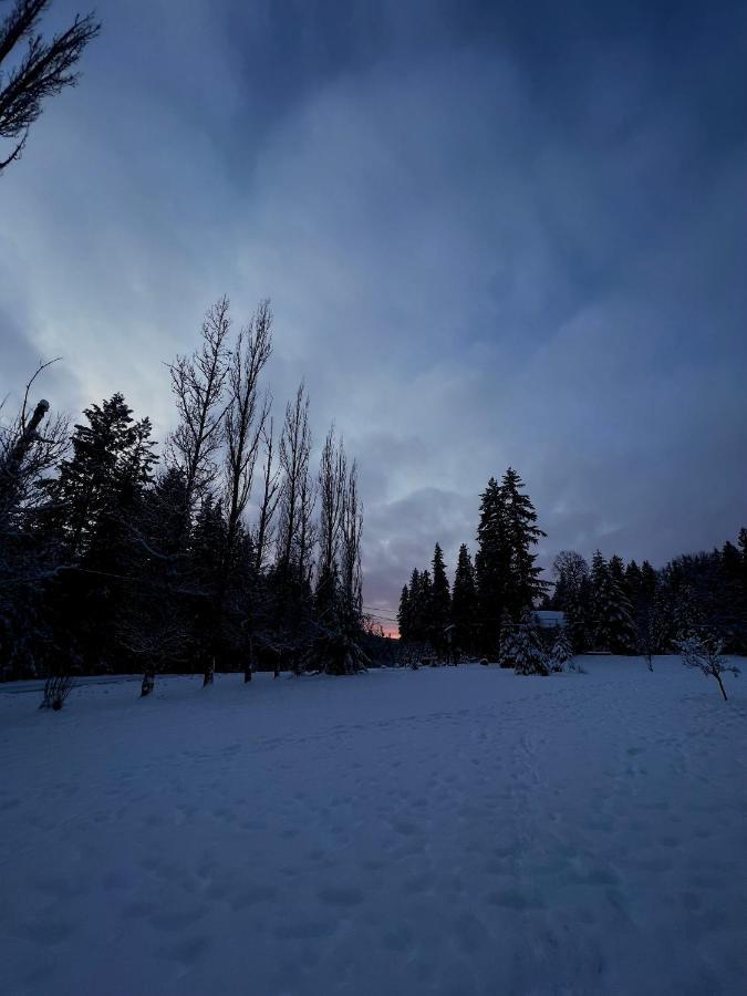 The Messy Owl Inn & Eco Haven Likely Bagian luar foto