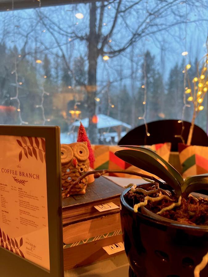 The Messy Owl Inn & Eco Haven Likely Bagian luar foto
